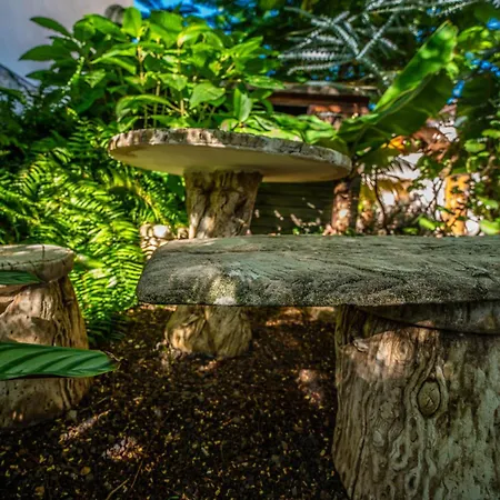 Апартаменты Casa Justa *